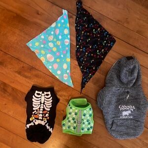 XXS dog outfit collection - 5lb or smaller